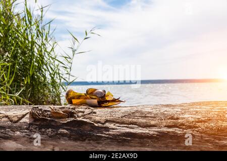 A close-up of shards of a broken glass bottle against the background of water after people resting on the river bank. Garbage pollution of the world's Stock Photo