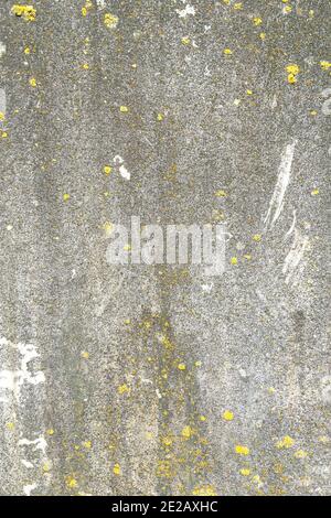 Ancient weathered wall with gray background old building. Cracked gray peeling plaster. Old concrete wall. Abstract rough texture. Vertical format. Cl Stock Photo