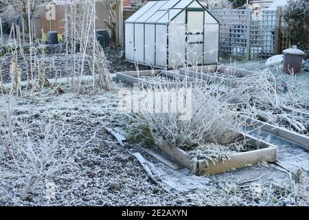 Frosty day on an allotment vegetable patch with greenhouse covered in ice on a winters day Stock Photo