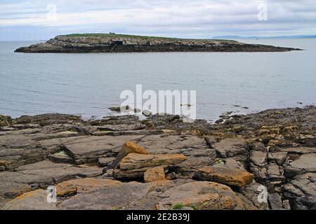 Ynys Moelfre island, Moelfre, Anglesey Stock Photo