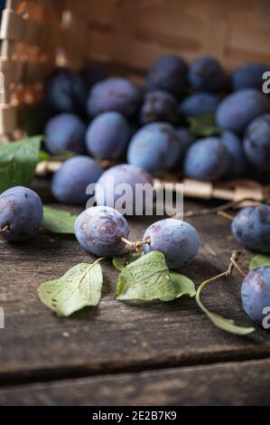 Sweet ripe purple plums scattering out of a basket on to a wooden surface. Stock Photo