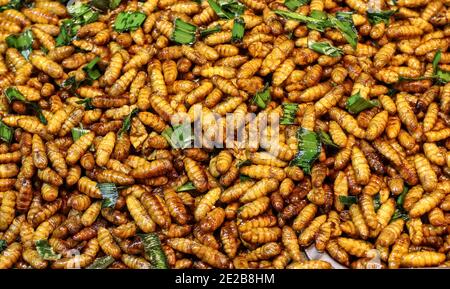 Stir fried chrysalis, exotic food But there are many benefits Stock Photo