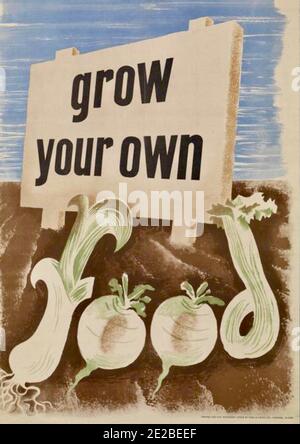 British government public information poster from the Second World War encouraging people to grow their own food. Stock Photo