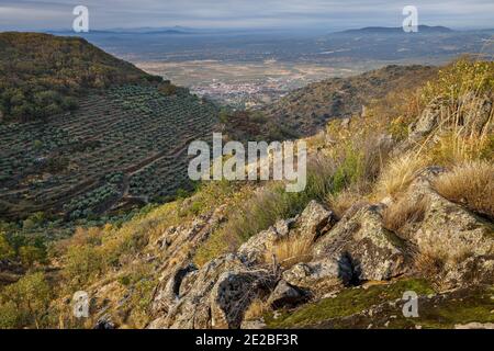 Landscape near montanchez. Extremadura. Spain. Stock Photo