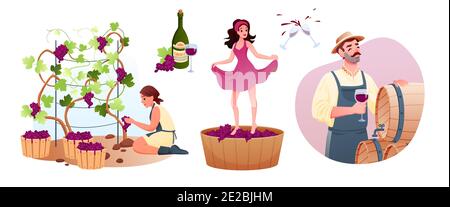 Wine production in traditional winery. Cartoon man woman characters produce natural vine, grow organic grapes, producing wine product, tasting alcohol Stock Vector