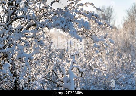 English snow scene Stock Photo