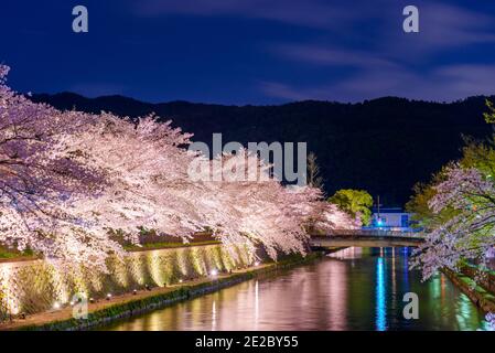 Kyoto, Japan on the Okazaki Canal during the spring cherry blossom season at night. Stock Photo