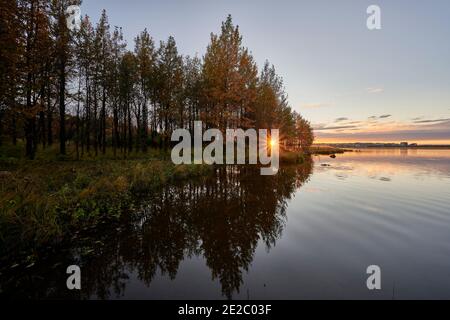 Bright sun shining behind autumn trees over calm pond water on cloudy sunset sky in countryside Stock Photo