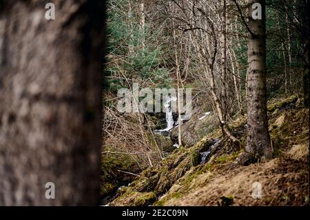 Small rapid waterfall flowing through rocky slope covered with dry grass near leafless trees in autumn forest Stock Photo