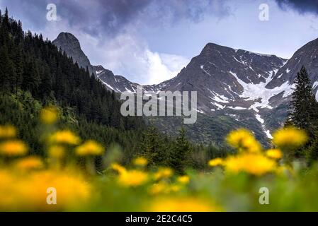 Alpine landscape in Fagaras Mountains. Dramatic captured photo taken from the Sambata de Sus cabin in the Carpathian Mountains, Romania on 6th of June Stock Photo