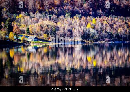 Small forest cottage on the Poiana Marului lake shore reflected in a perfect symmetry. Photo taken on 15th of November 2020 in Poiana Marului reservat Stock Photo