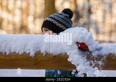 Cute little boy feeding deer in Canadian winter Stock Photo