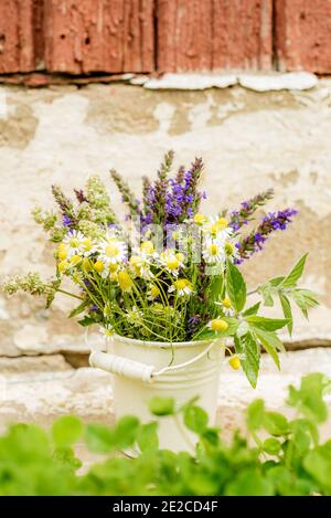 Bouquet of tea flowers. Chamomile, lemon balm and mint. Healthy diet. morning in the village. wooden background Stock Photo