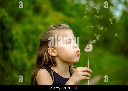 Summer in park or forest. nature, freshness idea freedom. happy childhood.Summer joy, little girl blowing dandelion at sunset near river Stock Photo