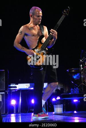 Bass player Flea, whose real name is Michael Peter Balzary, of the Red Hot Chili Peppers performs at the Paris-Bercy Concert Hall in Paris, France, October 18, 2011. Photo by ABACAPRESS.COM Stock Photo