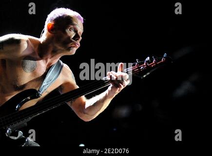 Bass player Flea, whose real name is Michael Peter Balzary, of the Red Hot Chili Peppers performs at the Paris-Bercy Concert Hall in Paris, France, October 18, 2011. Photo by ABACAPRESS.COM Stock Photo