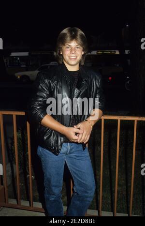 ADAM RICH 1984c0137 Credit: Ralph Dominguez/MediaPunch Stock Photo - Alamy