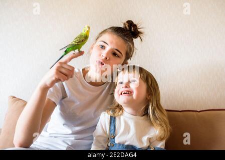 Happy children play with a parrot at the computertwo girls at home talking with a parrot. Pet. Budgerigar. online consultation of the vet Stock Photo