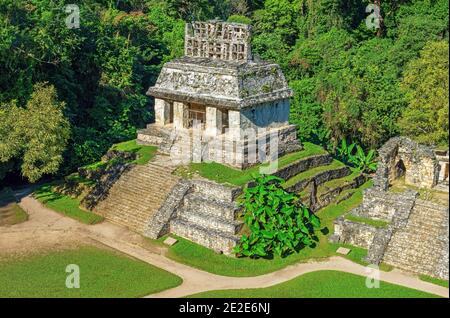 Aerial view of the maya Temple of the Count, Palenque, Chiapas, Mexico. Stock Photo