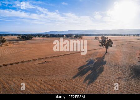 Aerial view of sunset over agricultural fields and trees in Australia Stock Photo