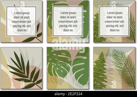 multi-page botanical layout template with copy space for text vector illustration. Stock Vector