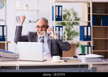 Senior male employee using phone in the office Stock Photo