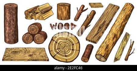 Wood set. Planks and logs, lumber and Cuts, Firewood in vintage style. Pieces of Tree. Vector illusion for signboard, labels, logo or banner. Campfire Stock Vector