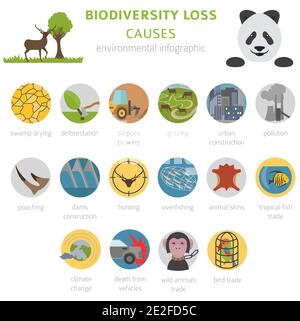 Global environmental problems. Biodiversiry loss infographic. Plants and animals destruction. Vector illustration Stock Vector