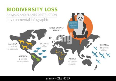 Global environmental problems. Biodiversiry loss infographic. Plants and animals destruction. Vector illustration Stock Vector