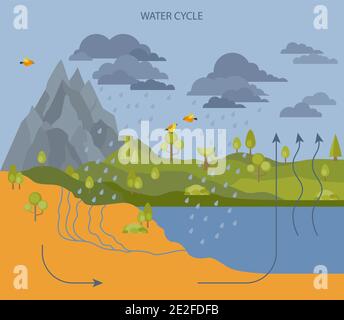 Water cycle. Geography, ecology infographic design. Vector illustration Stock Vector