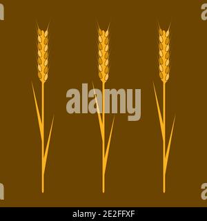Wheat Elements Stock Vector