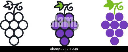 Grapes. Grape icon. Linear color icon, contour, shape, outline. Thin line. Modern minimalistic design. Vector set. Illustrations of fruits Stock Vector
