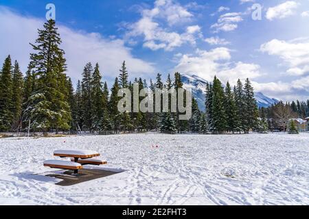 The snowy wooden bench in park of Dutch shopping neighborhood, Kiev