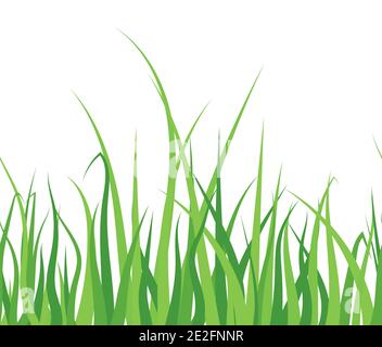 Green grass on white background. Seamless horizontal pattern. vector Illustration. Stock Vector
