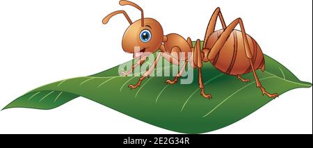 Vector illustration of Cartoon ant on the leaf Stock Vector