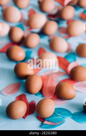 Chicken brown eggs and multicolored fluffy bird's feathers on light blue background. Happy Easter concept, flat lay composition. Top view. Stock Photo