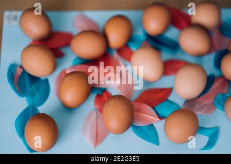 Chicken brown eggs and multicolored fluffy bird's feathers on light blue background. Happy Easter concept, flat lay composition. Top view. Stock Photo