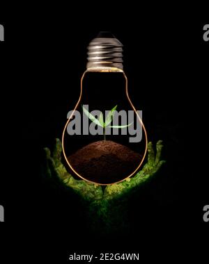 Green hand holding a light bulb with fresh green leaves inside, isolated on black background. Stock Photo