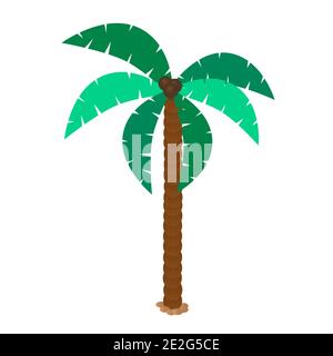 Paml tree with coconuts vector illustration Stock Vector