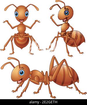 Vector illustration of Set of brown ants cartoon Stock Vector
