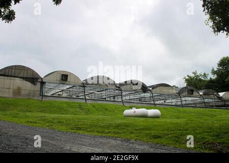 WALDEN, NY, UNITED STATES - Jul 11, 2020: Commercial Dome Top Greenhouses on a hill, grass, overcast day Stock Photo