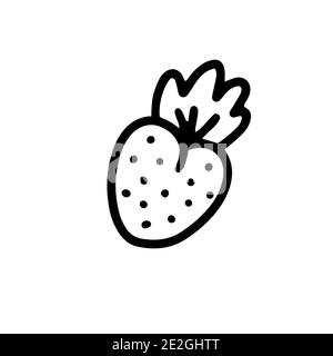 Strawberry isolated on a white background. Sweet ripe dessert fruit.Vector illustration in doodle style Stock Vector