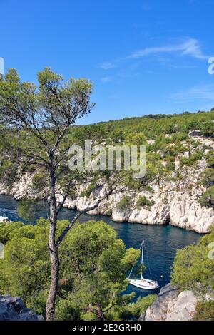 Cassis (south-eastern France): sailboat in the 'calanque de Port-Pin' rocky inlet Stock Photo