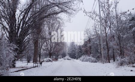 A snow covered road with tall trees along on both sides in an abandoned park with lonely empty unused bench in winter Stock Photo