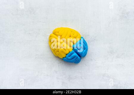 Clay model of human brain. Mental health bckground, top view Stock Photo