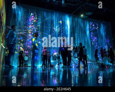 Odaiba, Tokyo,Japan - Jan. 10, 2020: TeamLAB Borderless. Universe of water particles. Forest of Lamps. Stock Photo