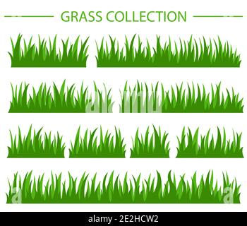 Simple flat green grass collection. Vector illustration Stock Vector