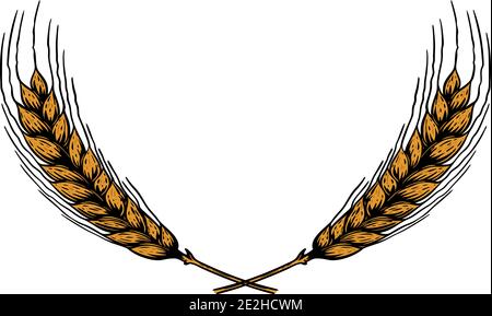 Illustration of wreath from wheat spikelets in engraving style. Design element for poster, card, banner, menu. Vector illustration Stock Vector