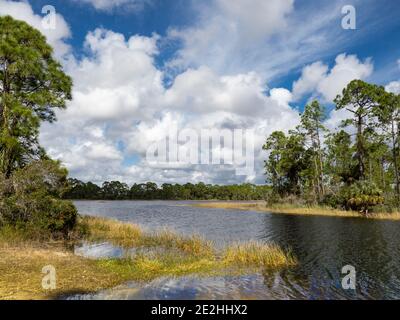 Winter colors and big clouds over Webb Lake in Babcock/Webb Wildlife Management Area Stock Photo