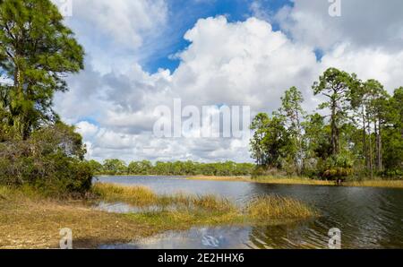 Winter colors and big clouds over Webb Lake in Babcock/Webb Wildlife Management Area Stock Photo
